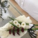 플라워하우스(Flower house) | 언트하우스 ont. house : 30주 차 제주 만삭 스냅 후기 🤍