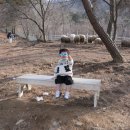 토담목장 이미지