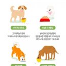 마드레펫 이미지