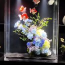 물빛정원 | 롯데월드 아쿠아갤러리 물빛정원 후기, 아쿠아리움 할인 쿠폰 입장료 팝업 전시 후기