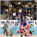 진주실내체육관 Daum카페