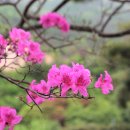 심천치유자연휴양림 이미지