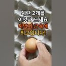 허벅지근육 계란 두 개를 이것과 같이 먹으면 허벅지 근육에 최고입니다. 허벅지 근육에 좋은 음식 이미지