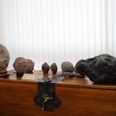 귀족호도박물관 이미지