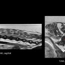 대경연합동물영상센터 이미지