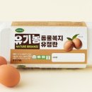 하나건강