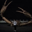 해파랑펜션 이미지