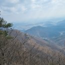 영 농장 이미지