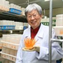 동아위생재료 이미지