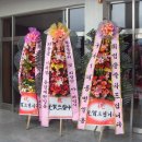 입실초등학교 이미지