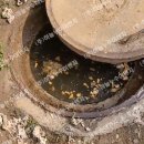 원산중앙로 이미지