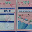 송암리 | 2025 양양생생축제) 봄 그 자체🌸 로맨틱했던 벚꽃축제 후기 (feat. 남대천연어생태공원~조각송이공원)