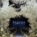 힐스 | 분당 웨딩홀 | W힐스컨벤션 하객후기(교통, 식사)