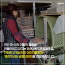부산계란유통협동조합