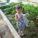 오카나간캠핑장 이미지