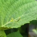 중곡역-27 이미지