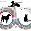 휴베이스 효천약국 이미지