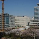 울산, 상용근로자 1인당 임금총액 475만원…전국 2번째 이미지