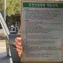 노원구 초안산 캠핑장 :) 서울 캠핑 초안산캠핑장 H18 힐링캠핑빌리지 &amp; 예약 &amp; 매점 &amp; 자리추천 &amp; 후기
