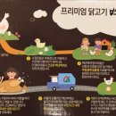 백퍼강정 이미지