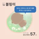 둘째임신 33주차 태동검사 임신중기 증상 워킹맘 임신일상
