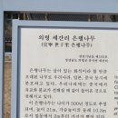 나무여행 이미지