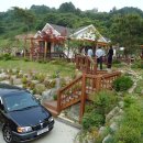 대지-2010 이미지