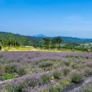 이승현농장 이미지