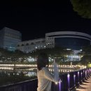 원광대학교 | 원광대학교 축제 1일차 후기 : LUCY, QWER