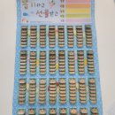 초롱태권도장 이미지