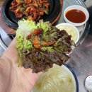 새벽닭이 울때까지 네이버블로그