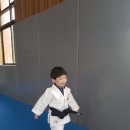 우림유도관 이미지