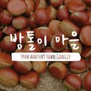 밤톨이마을 이미지