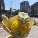 회시생 일기 (13)- 기말고사