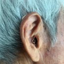 독일보청기 태평센터 이미지