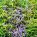 민주작은도서관 이미지