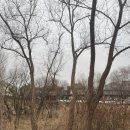 은평역사한옥박물관 | [은평역사한옥박물관 강의] 북한산의 작은 이웃, 새와 만나요. 12월 탐조수업후기