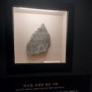 정림로 | 정림사지 박물관 후기 아이와 함께 떠난 부여 역사 여행