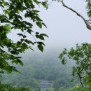 (주)천0