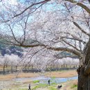 세븐일레븐 파주파평점 이미지