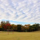 배알도수변공원 이미지