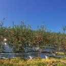 동막골영농조합법인 이미지