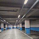 타이거피자 미아점 | 서울 미아 타코맛집 올타코나 털고온 후기, 주차가능