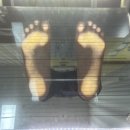 약손재활운동 이미지