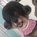 기분좋은 동물병원 이미지