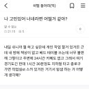 앙끼들에게도 물어볼게 내 고민 좀 들어줘 이미지
