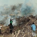 산청군, 지리산 시천면 중산리 청련사 우리 사제 스님께서도 피신했다 이미지