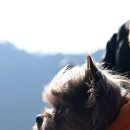 강변연가 이미지