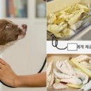 파스타호텔 이미지