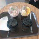 오송웨이브 | 푸른 바다 보며 거제오송소금빵 맛보고 온 오송웨이브 후기입니다